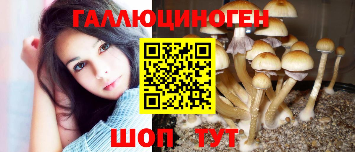 Елабуга  Псилоцибиновые грибы мухоморы  Вход с VPN 
